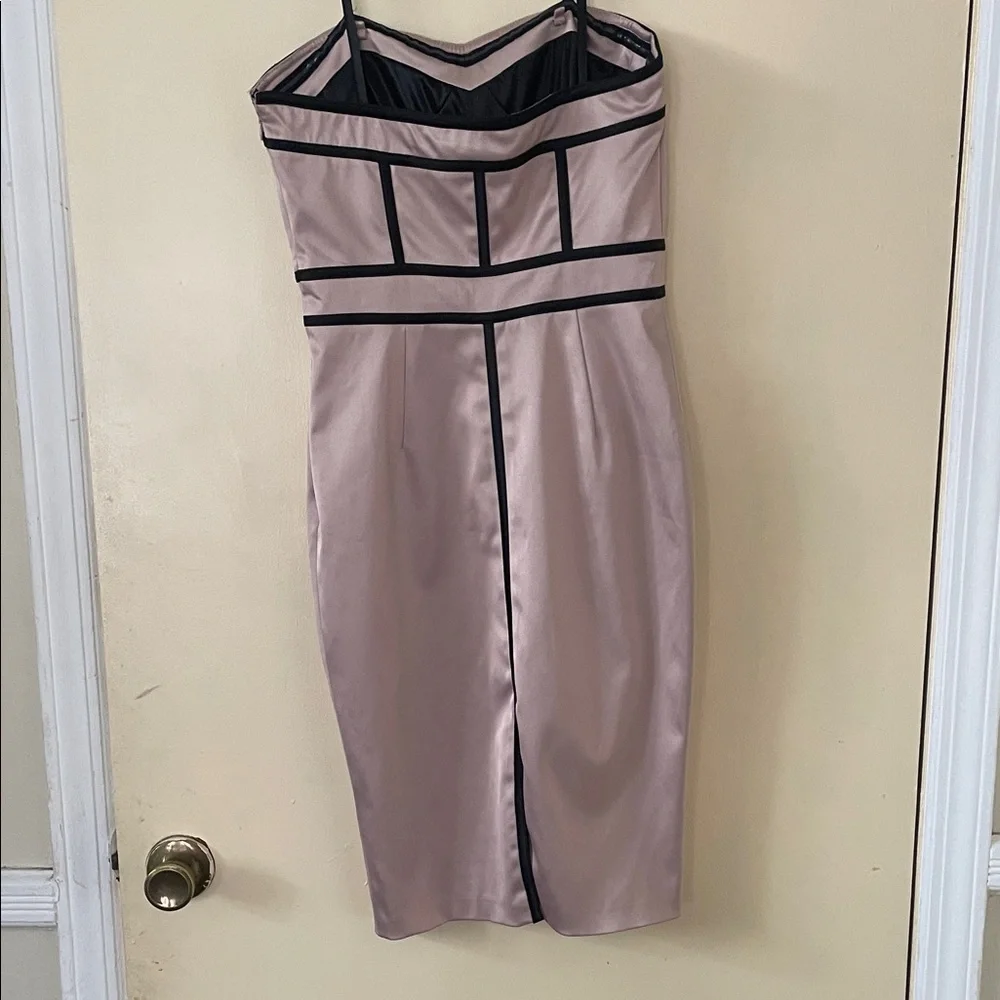 Blush Pink Dress with Black Piping - Picture 3 of 3